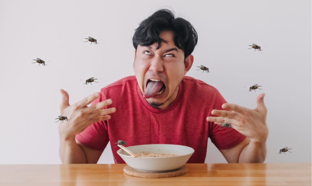Cara Mengusir Lalat Di Restoran Supaya Tamu Yang Datang Tidak Terganggu (Jasa Pembasmi Hama)