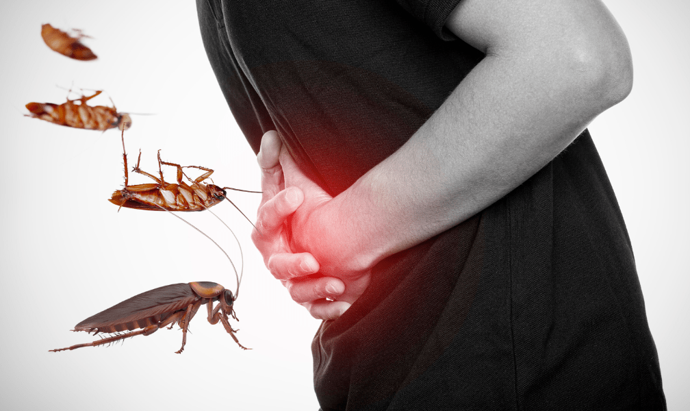 Gangguan Kesehatan Yang Dapat Diakibatkan Oleh Keberadaan Kecoa Di Dalam Rumah