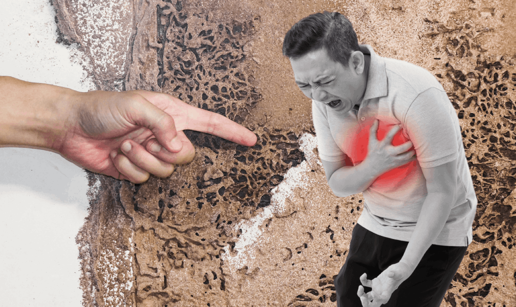 Jangan Sepelekan Kehadiran Rayap Di Rumah, Ini Bahaya Rayap Untuk Kesehatan Manusia