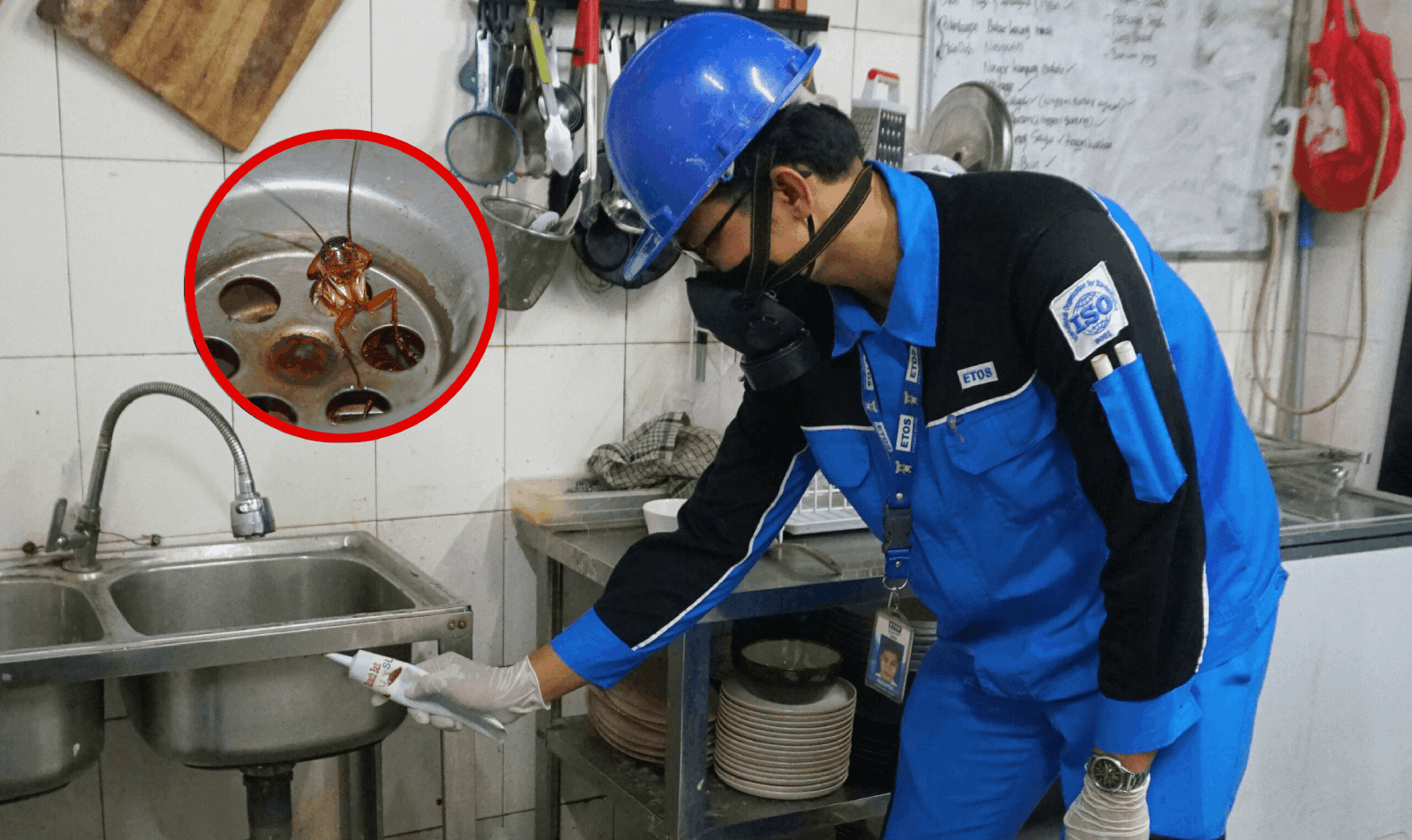 Kecoa Sering Muncul Di Wastafel ? Begini Cara Menghilangkannya!