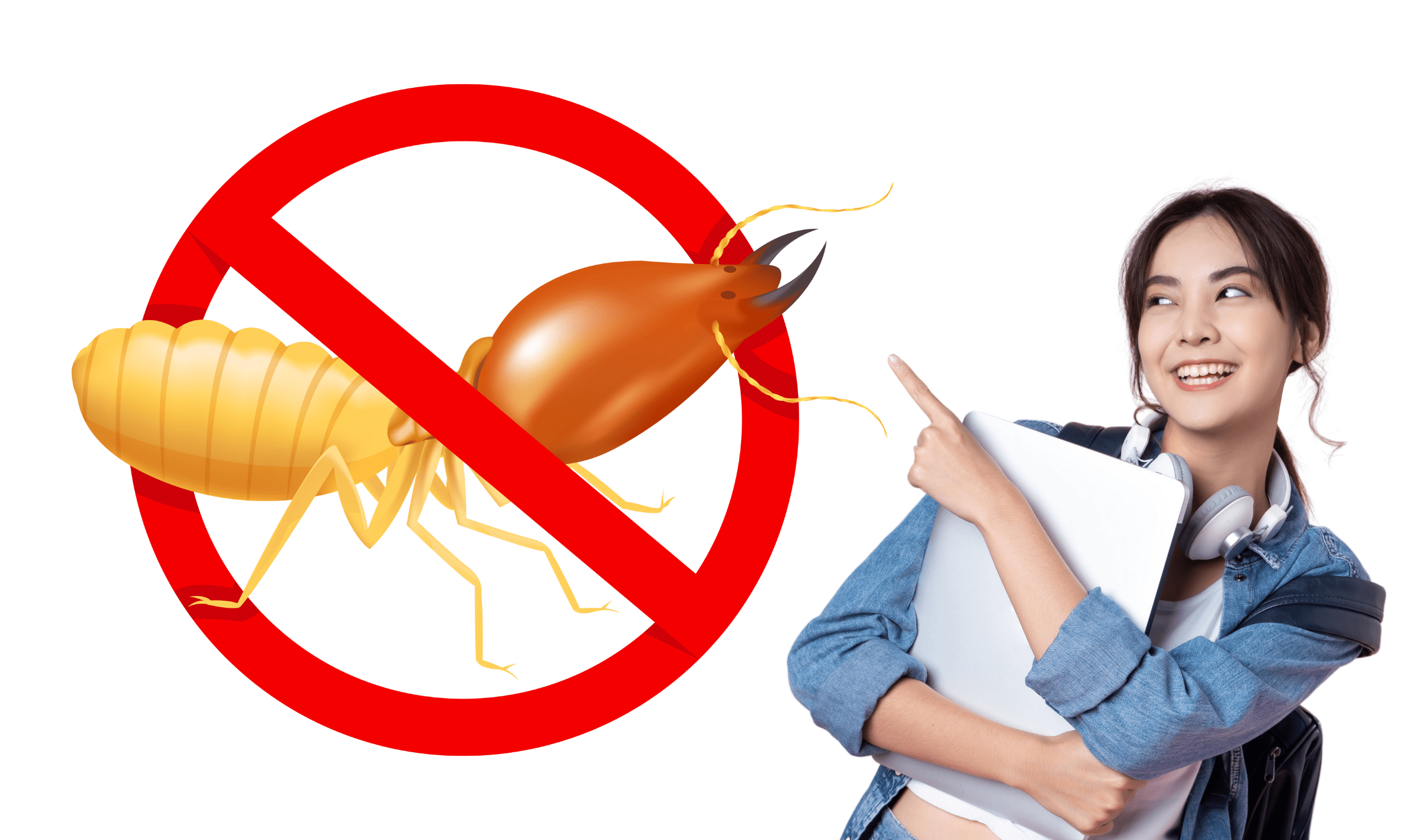 Pentingnya Meningkatkan Kesadaran Masyarakat Untuk Membasmi Rayap
