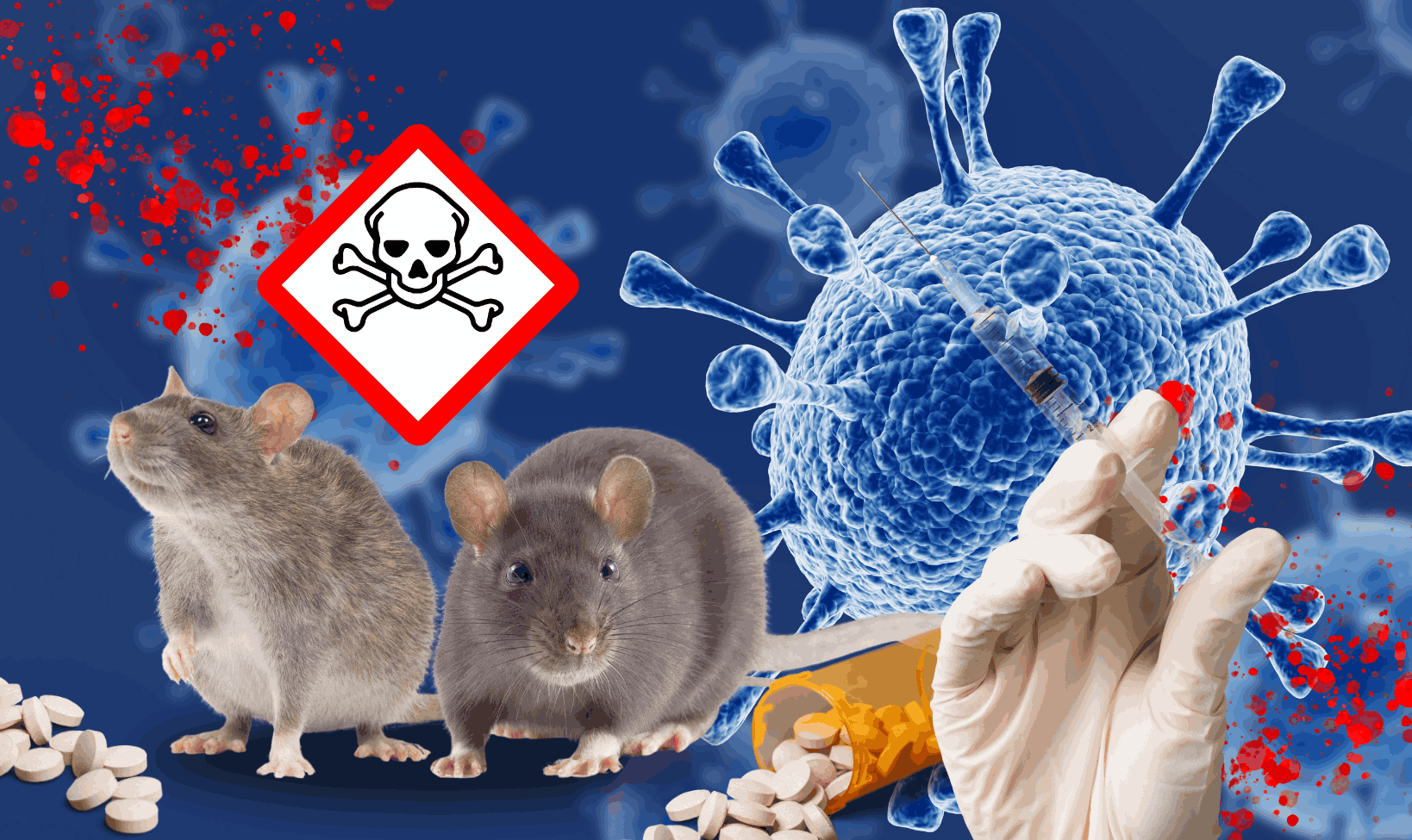 Waspadai 5 Penyakit Berbahaya Yang Disebabkan Tikus